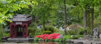 Gratis naar de Hortus Botanicus