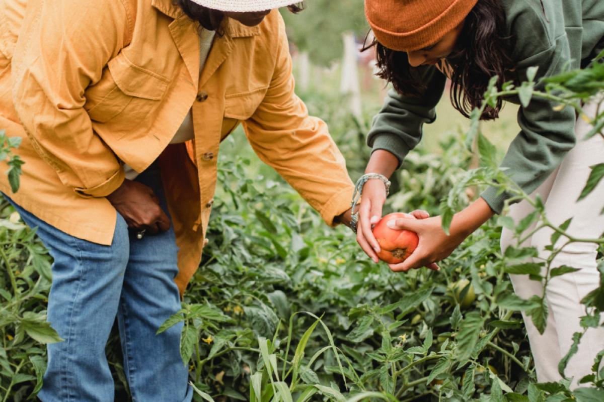 Biologisch tuinieren
